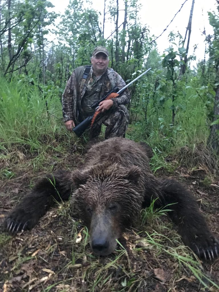 Baited bear hunt  - hunter with large brown bear.