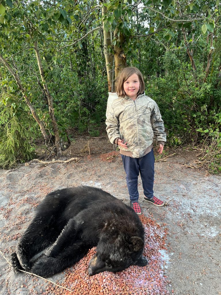 Black bear with bait.